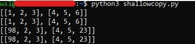 Python Shallow Copy