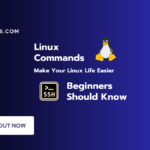 Linux Commands for Beginners With Examples