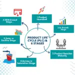 Overview of Product Life Cycle and Its Stages.