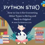 Python Str Function Explained