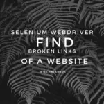 Selenium Webdriver Exercise - Find Broken Links On a Website