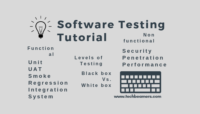 Software Testing