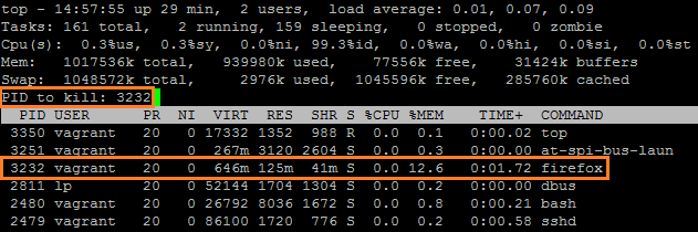 Linux Commands - Kill a Process With Top Command